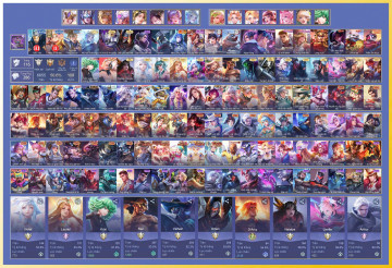 Acc VIP1441